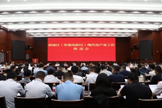 陈远主持召开鼎城区（常德高新区）现代化产业工作推进会