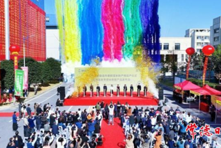 国内首条全自动方便鲜湿米粉生产线在常德高新区投产