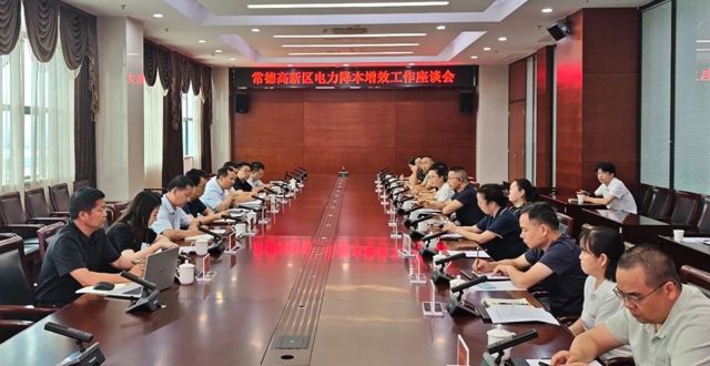 常德高新区召开电力降本增效工作座谈会